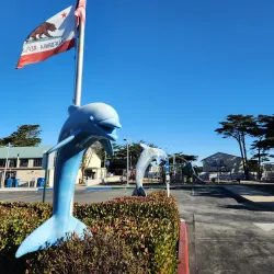 Marina Community Center - Marina