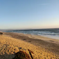 Marina Dunes Preserve - Marina