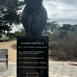 Marina Library - Marina