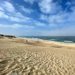 Marina State Beach - Marina