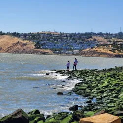 Carquinez Strait Regional Shoreline - Martinez