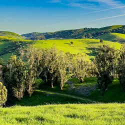 Carquinez Strait Regional Shoreline - Martinez
