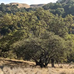 Carquinez Strait Regional Shoreline - Martinez