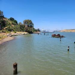 Carquinez Strait Regional Shoreline - Martinez