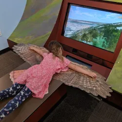 Lindsay Wildlife Experience - Martinez