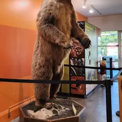 Lindsay Wildlife Experience - Martinez