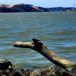 Martinez Marina - Martinez