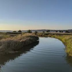 Martinez Regional Shoreline - Martinez