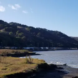 Martinez Regional Shoreline - Martinez