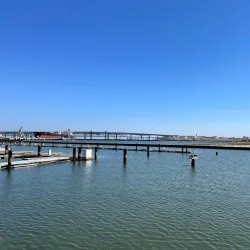 Martinez Regional Shoreline - Martinez