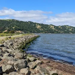 Martinez Regional Shoreline - Martinez