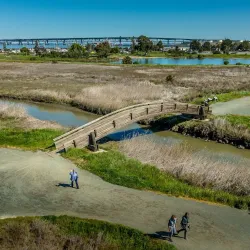 Martinez Regional Shoreline - Martinez
