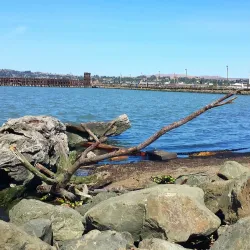 Martinez Regional Shoreline - Martinez