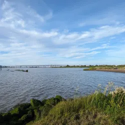 Martinez Regional Shoreline - Martinez