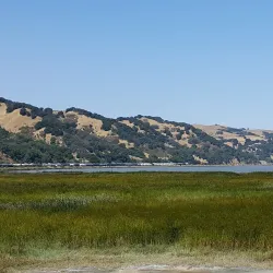 Martinez Waterfront Park - Martinez