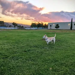 Martinez Waterfront Park - Martinez