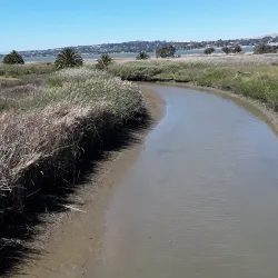 Martinez Waterfront Park - Martinez