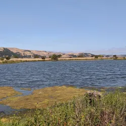 Martinez Waterfront Park - Martinez