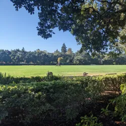 Menlo Circus Club - Menlo Park