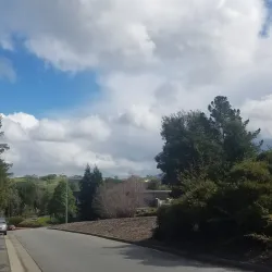 Sharon Park - Menlo Park