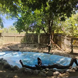 Applegate Park Zoo - Merced