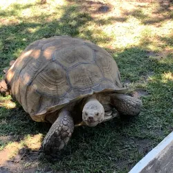 Applegate Park Zoo - Merced