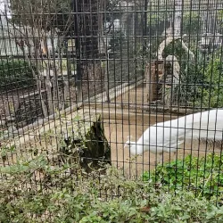 Applegate Park Zoo - Merced