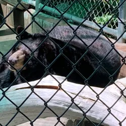 Applegate Park Zoo - Merced