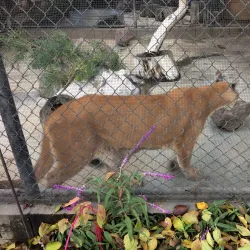 Applegate Park Zoo - Merced