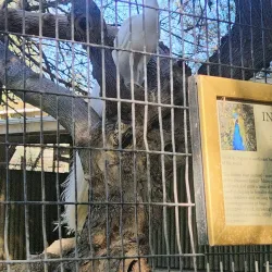 Applegate Park Zoo - Merced