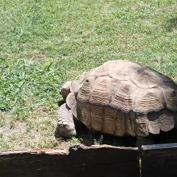 Downtown Merced - Merced