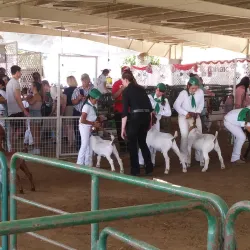 Merced County Fairgrounds - Merced