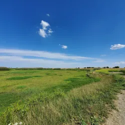 Merced National Wildlife Refuge - Merced