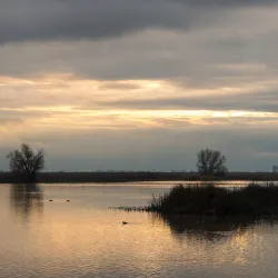 Merced National Wildlife Refuge - Merced