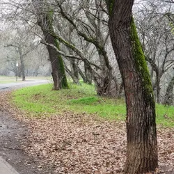 Dry Creek Regional Park - Modesto