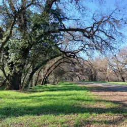 Dry Creek Regional Park - Modesto