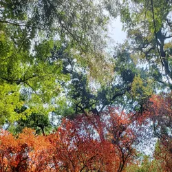 Dry Creek Regional Park - Modesto