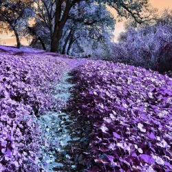 Dry Creek Regional Park - Modesto