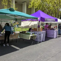 Modesto Certified Farmers Market - Modesto