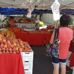 Modesto Certified Farmers Market - Modesto