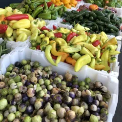 Modesto Certified Farmers Market - Modesto