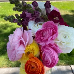 Modesto Certified Farmers Market - Modesto