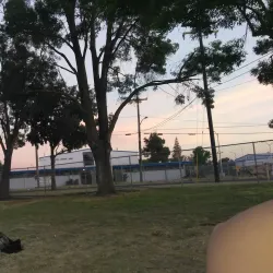 Modesto Nuts Baseball at John Thurman Field - Modesto