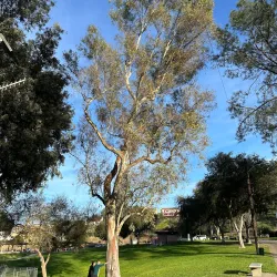 Garvey Ranch Park - Monterey Park