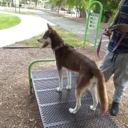 Lemon Grove Park - Monterey Park