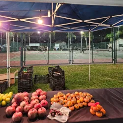 Monterey Park Farmers Market - Monterey Park