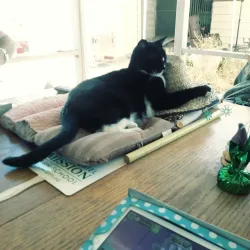 Monterey Park Farmers Market - Monterey Park