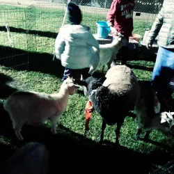 Monterey Park Farmers Market - Monterey Park