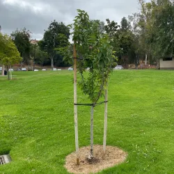 Monterey Park Historical Museum - Monterey Park