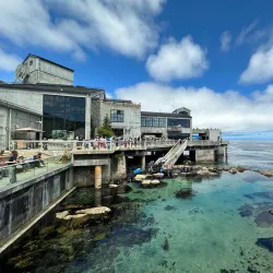 Monterey Bay Aquarium - Monterey